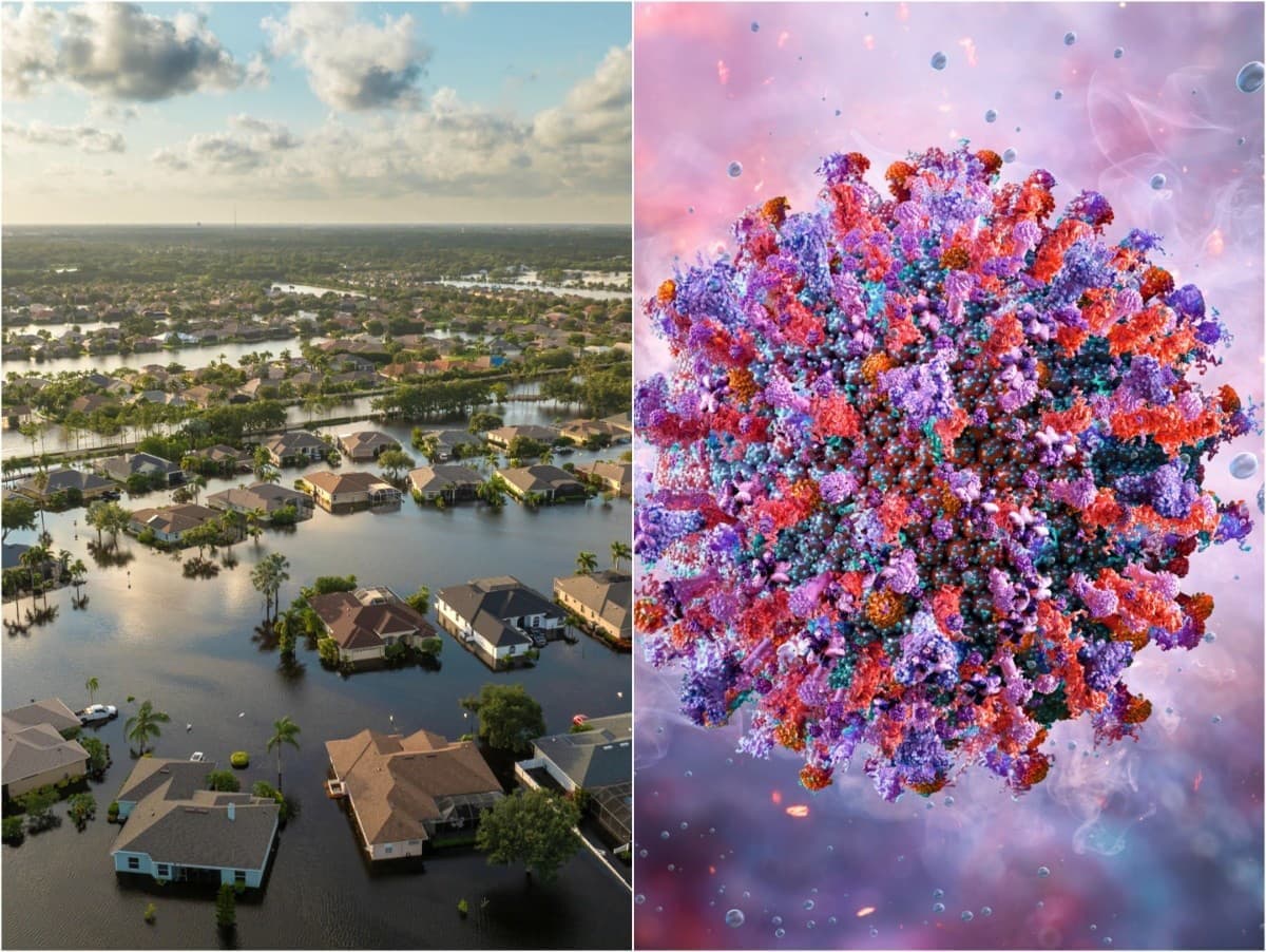 Japonská Baba Vanga varuje: Rok 2030 prinesie smrteľný vírus