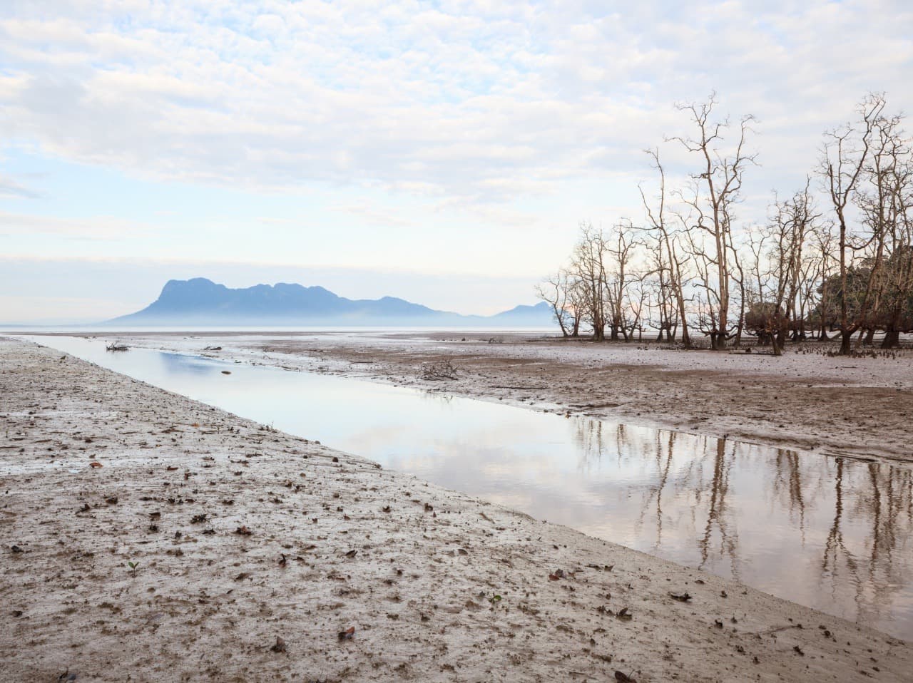 Umelá inteligencia: Hrozba pre ľudstvo alebo prehnané obavy?