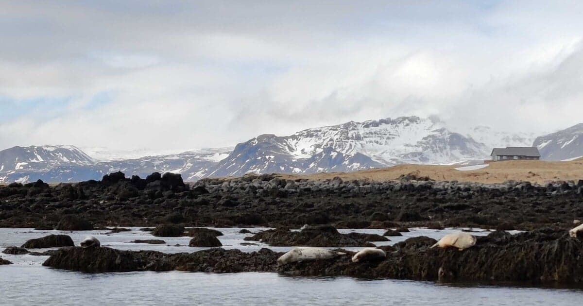 Slovensko na 28. mieste v rebríčku najbezpečnejších krajín 2025