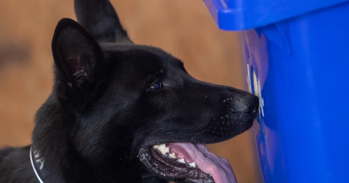 Nový colný systém začne fungovať od 1. novembra 2023