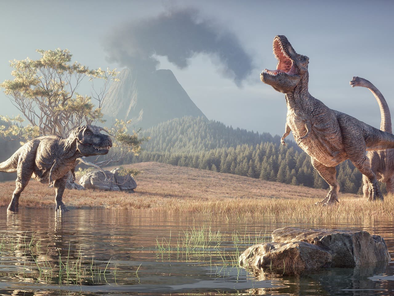 Dinosaury nikdy neexistovali? Konšpiračná teória zmietla internetom