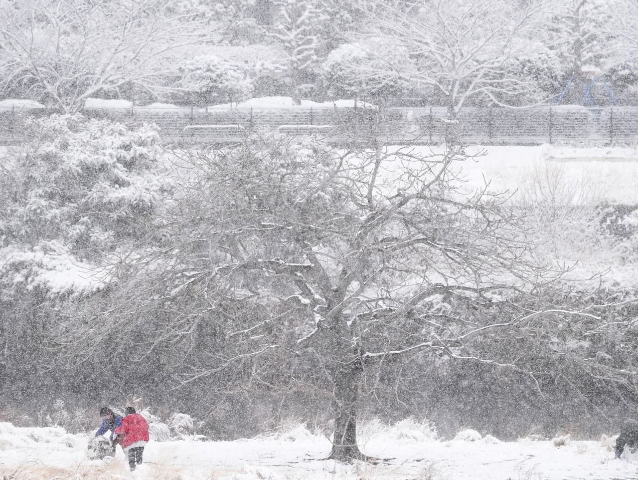 Snehová katastrofa v Japonsku: Tragédia zasiahla 46 životov
