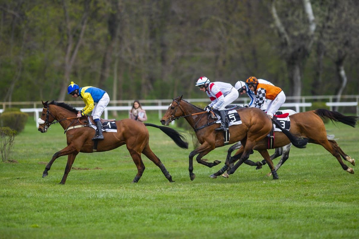 Australien triumfoval vo Veľkej októbrovej cene, končí kariéru