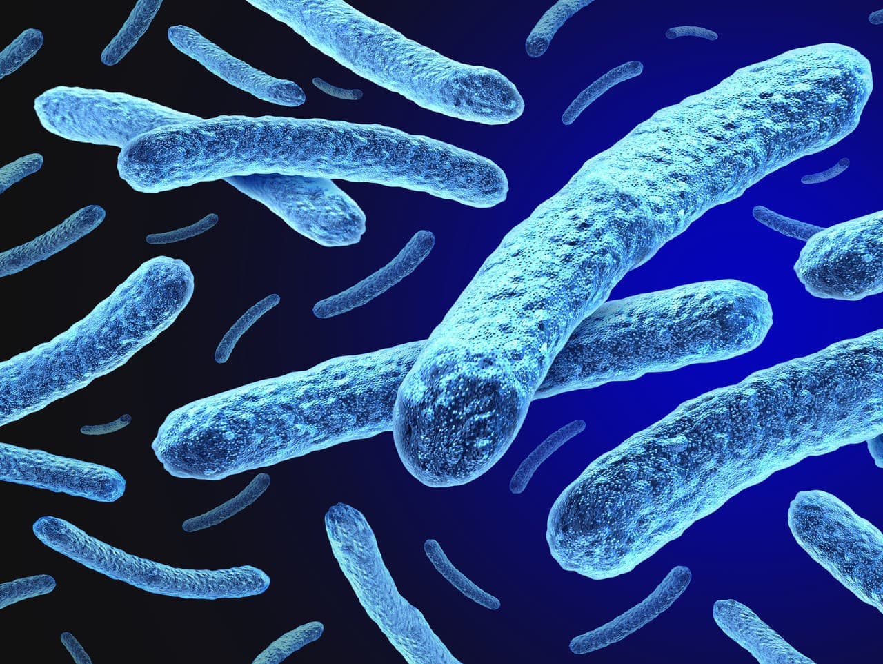 Lepra sa po 44 rokoch vrátila do Rumunska: Potvrdené dva prípady