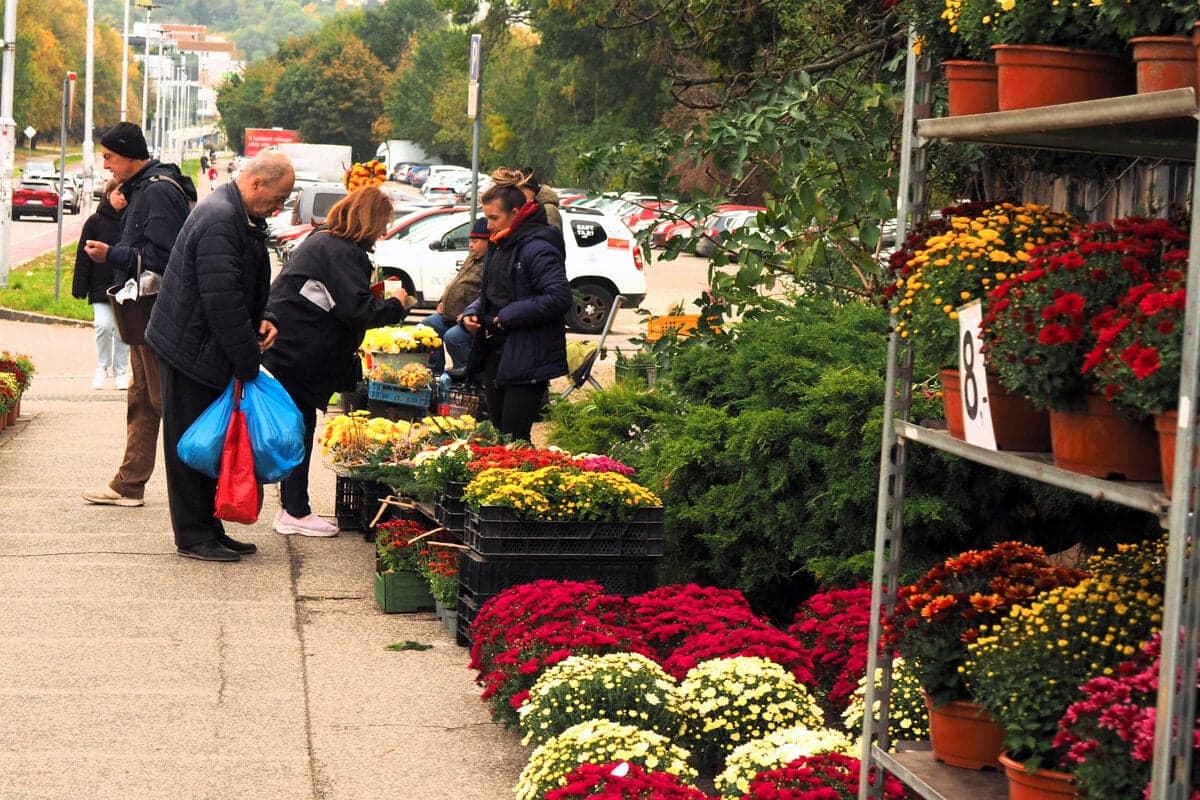 Polícia posilňuje hliadky na Dušičky: Opatrenia pre bezpečnosť vodičov