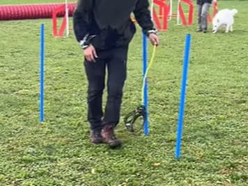 Nemecký fenomén: Venčenie vzduchu ako nová forma relaxu