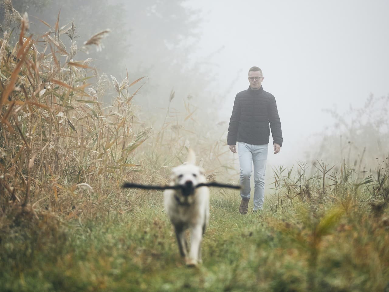 Meteorológovia varujú: Hmla zasiahne viaceré regióny Slovenska