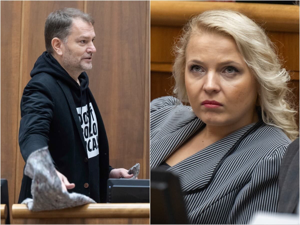 Spor v Národnej rade: Matovič podáva trestné oznámenie na Plevíkovú