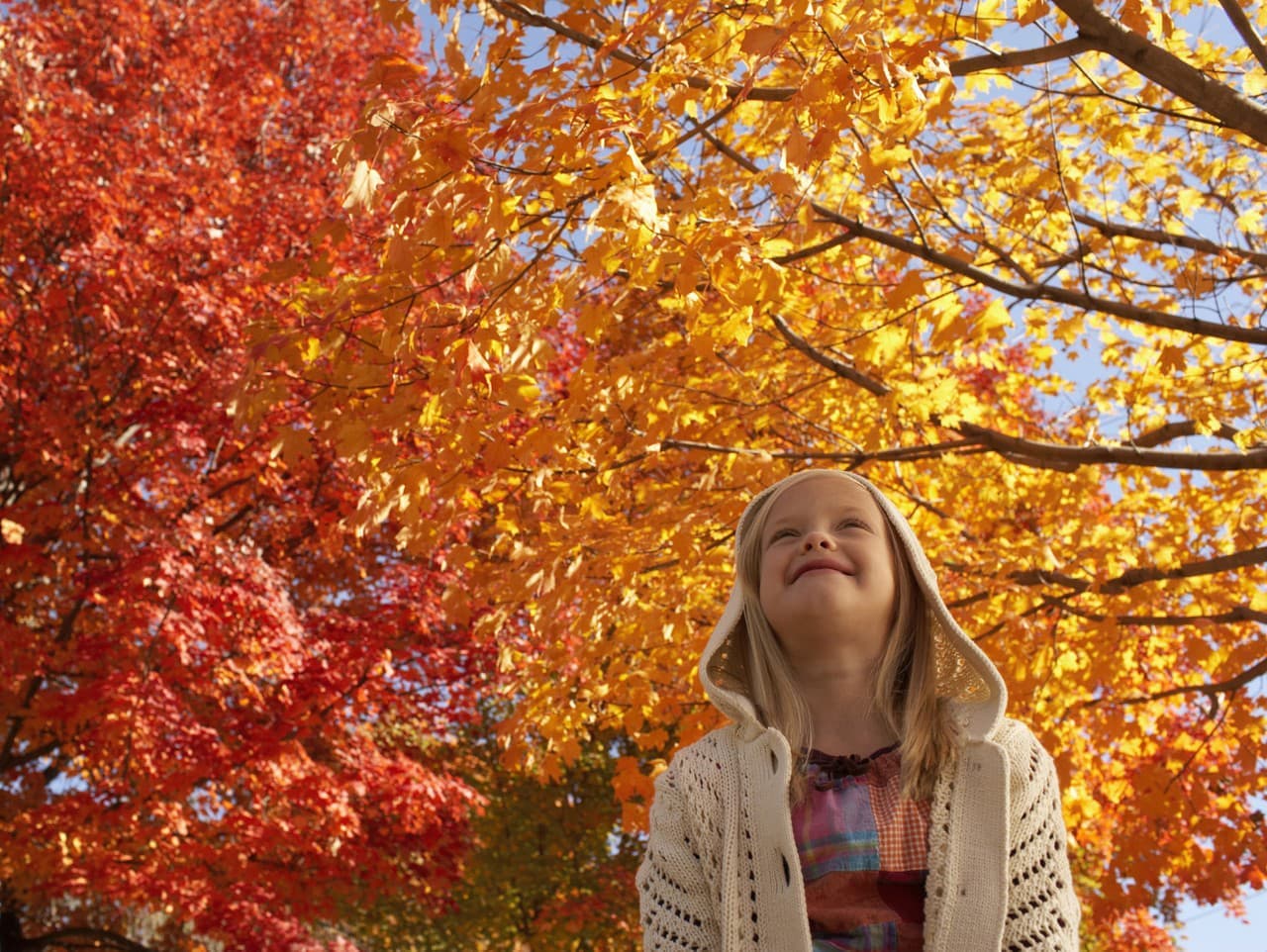 Žiaci základných a stredných škôl si začínajú jesenné prázdniny