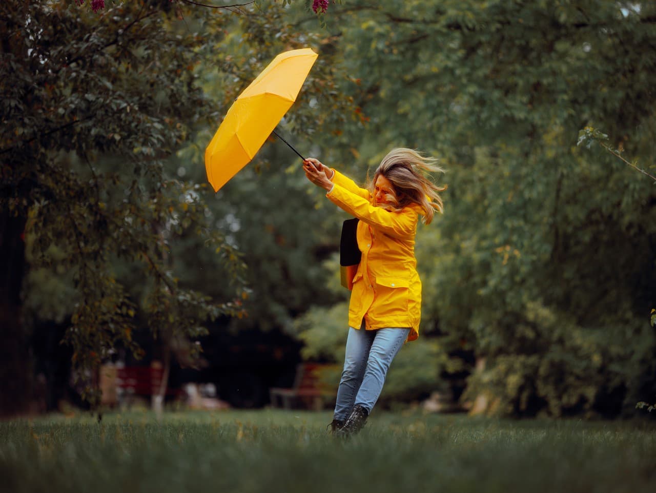 Meteorológovia varujú: Silný vietor ohrozuje horské oblasti