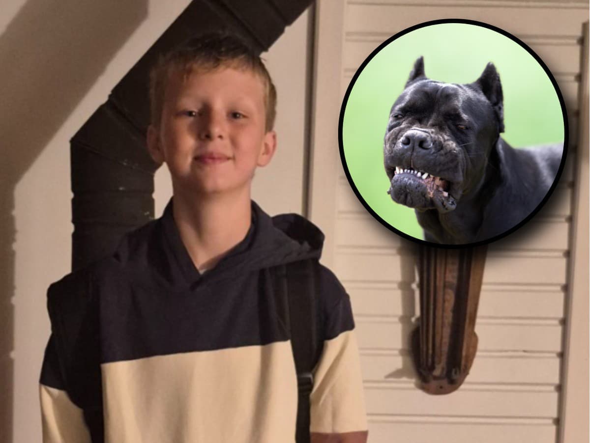 Tragédia vo Welshtowne: Chlapca (†13) zahryzli tri psy