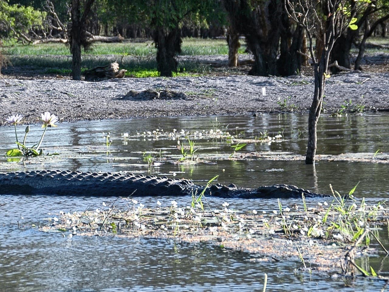 Sever Austrálie čelí povodniam: Polícia evakuovala tisíce ľudí