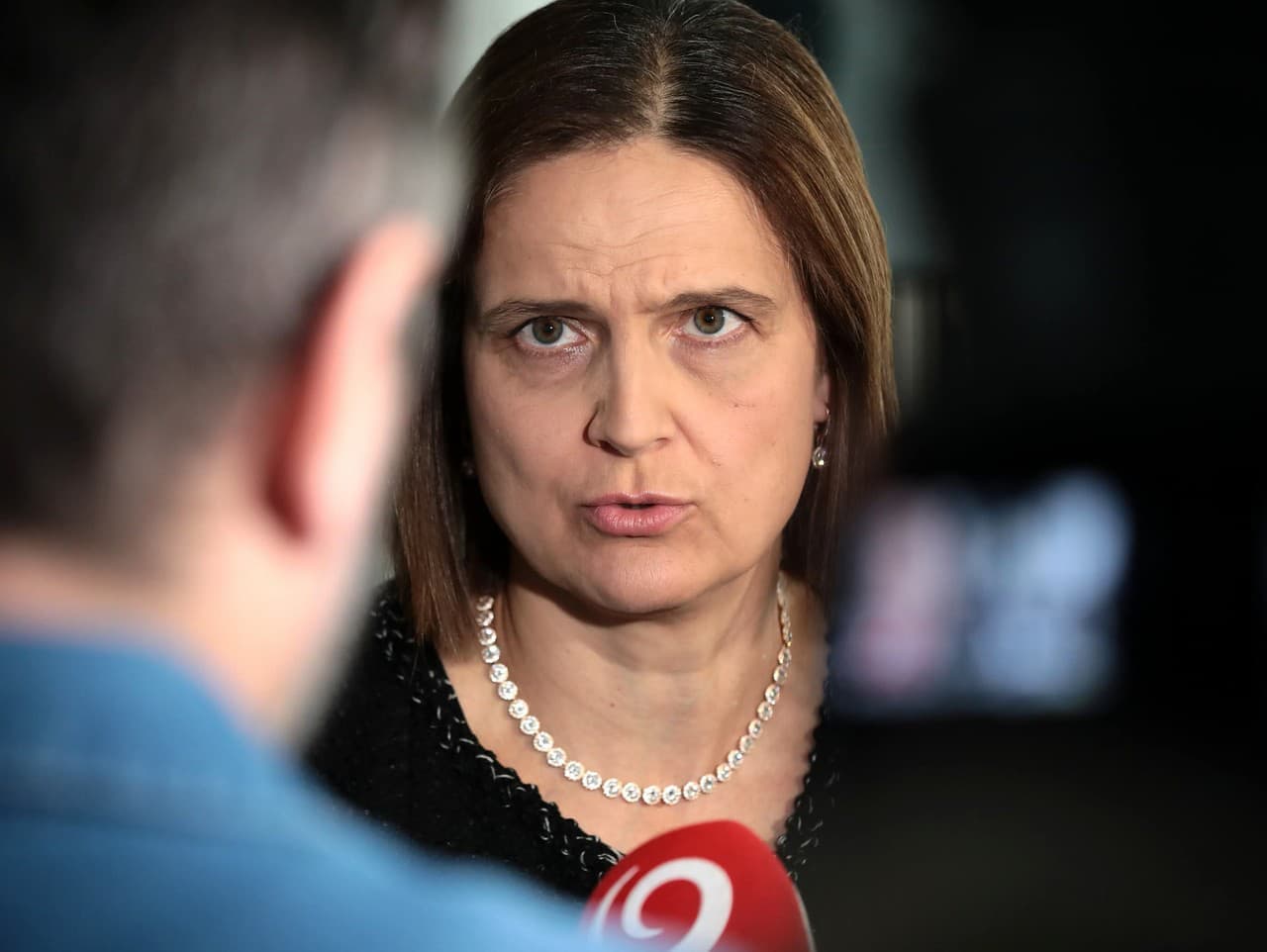 SaS predloží návrh na riešenie vzrastajúcej kriminality