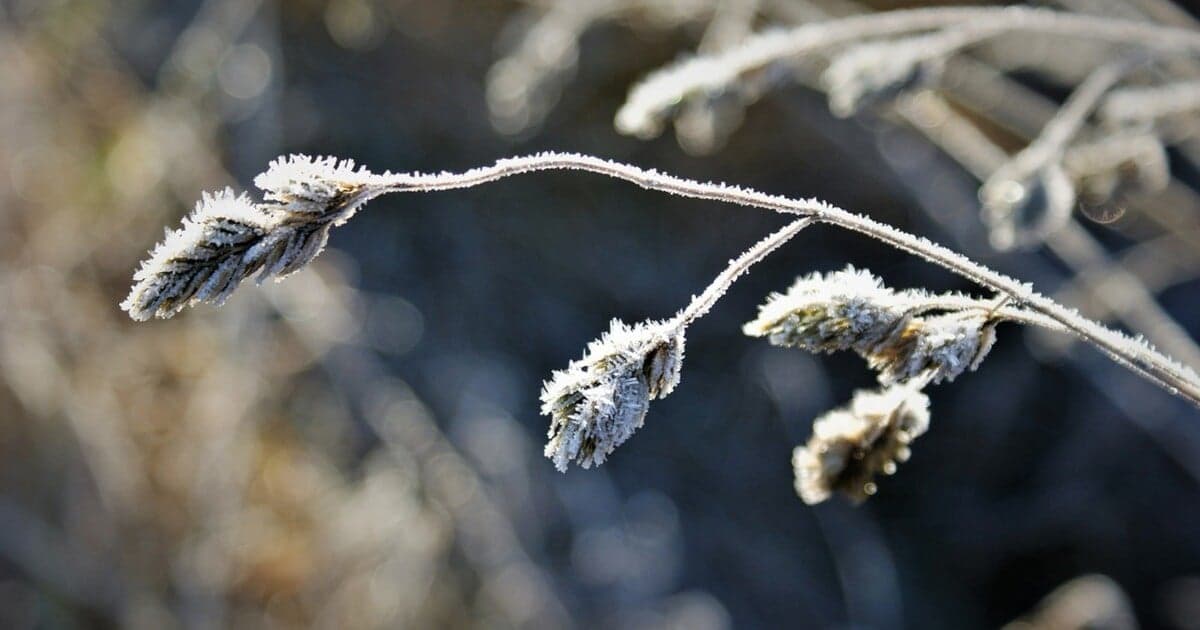 Na Slovensko prichádza vlna krutej zimy s mrazmi až -20 °C