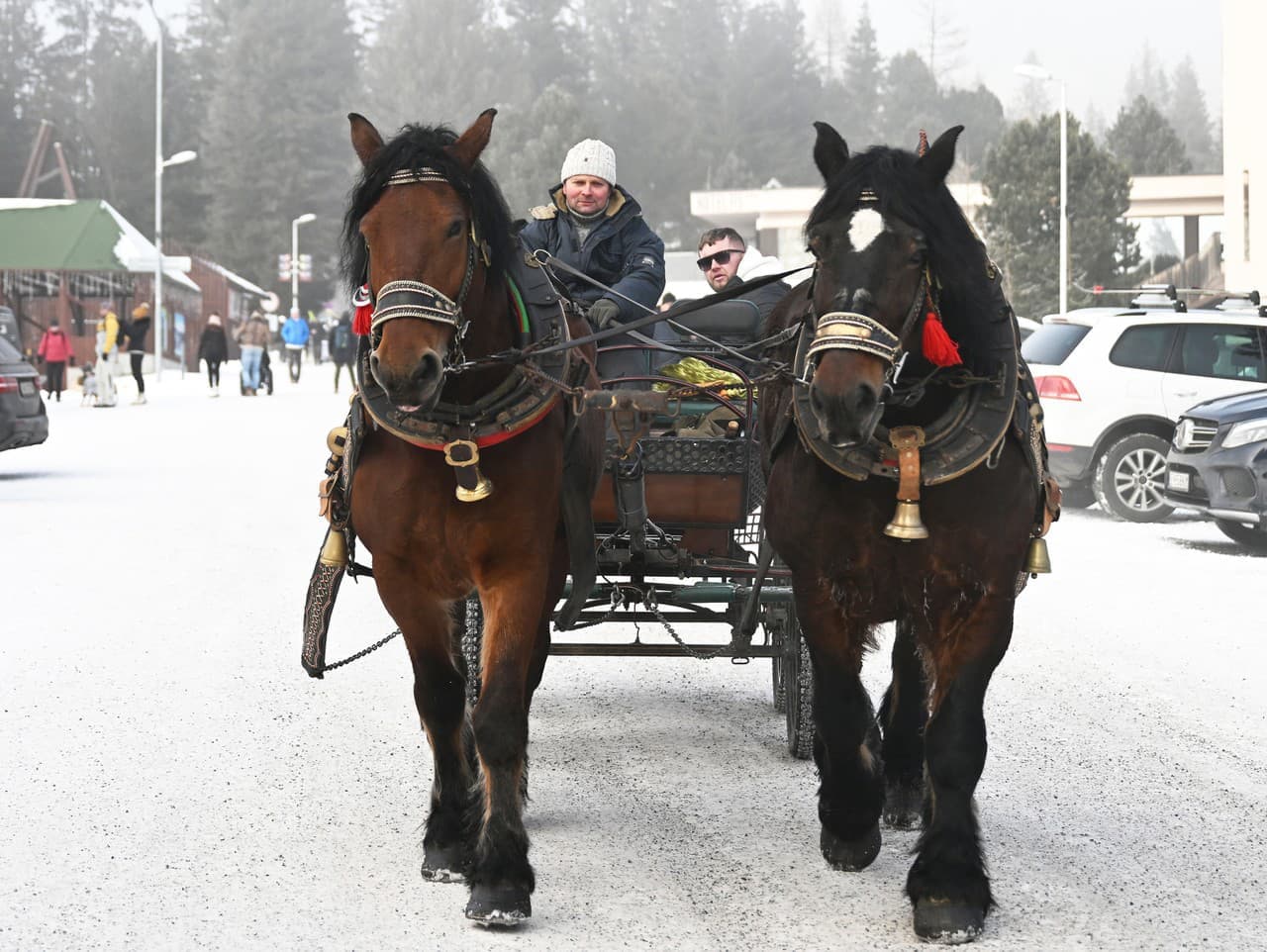 Preťažené kone v Tatrách? Poľskí vedci to preverujú