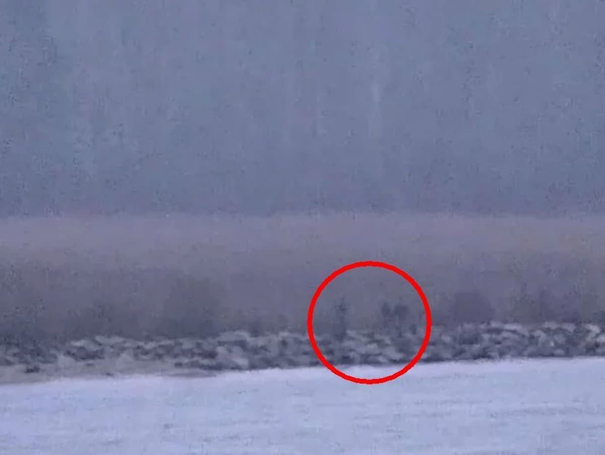 Ruskí pohraničníci neoprávnene vstúpili na územie Estónska