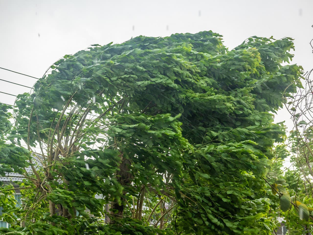 Na severe Slovenska platia výstrahy pred silným vetrom