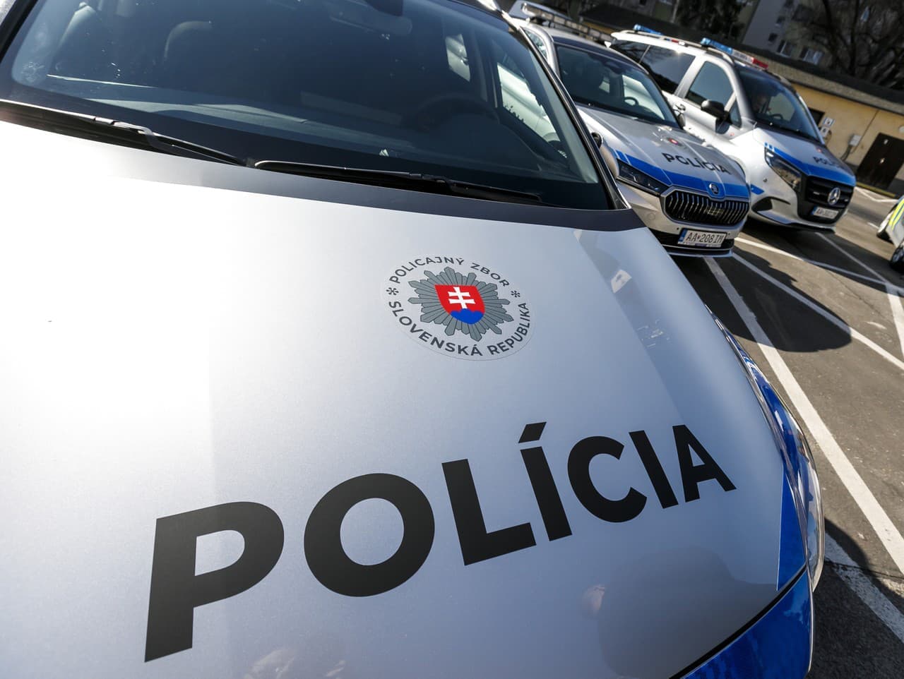 Verejný ochranca práv preverí incident s policajtom v Slovenskej Ľupči