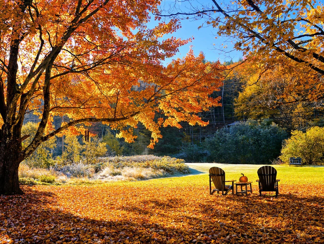 Október 2023: Studený a rozmanitý mesiac na Slovensku