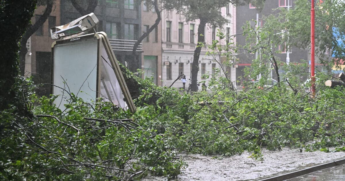 Silná víchrica zasiahne sever Slovenska: Rýchlosť vetra až 135 km/h