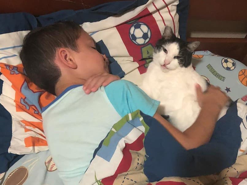 Neobyčajné priateľstvo: Chlapec a mačka s rovnakým rázštepom