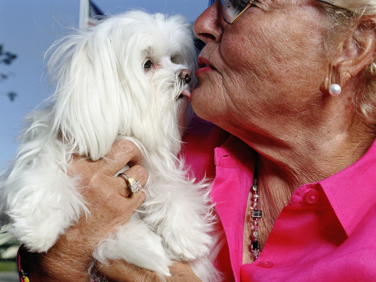 Veterinár varuje: Bozkávanie so psom môže ohroziť vaše zdravie