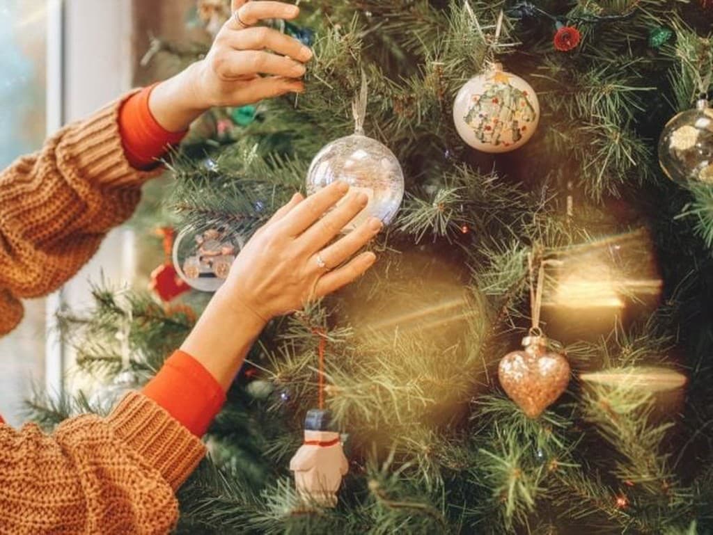 Kedy je ideálny čas na vianočný stromček?