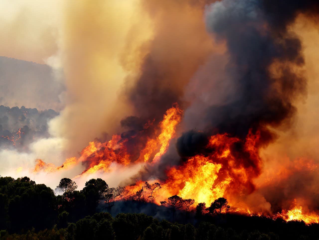 Horúčavy vo východnej Austrálii spôsobujú lesné požiare