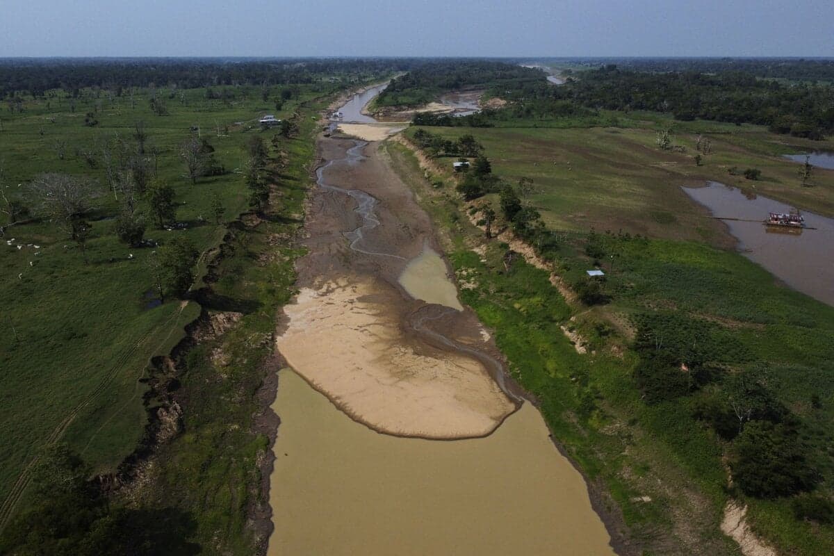 Brazília zakladá fond na ochranu tropických lesov s cieľom 125 miliárd dolárov