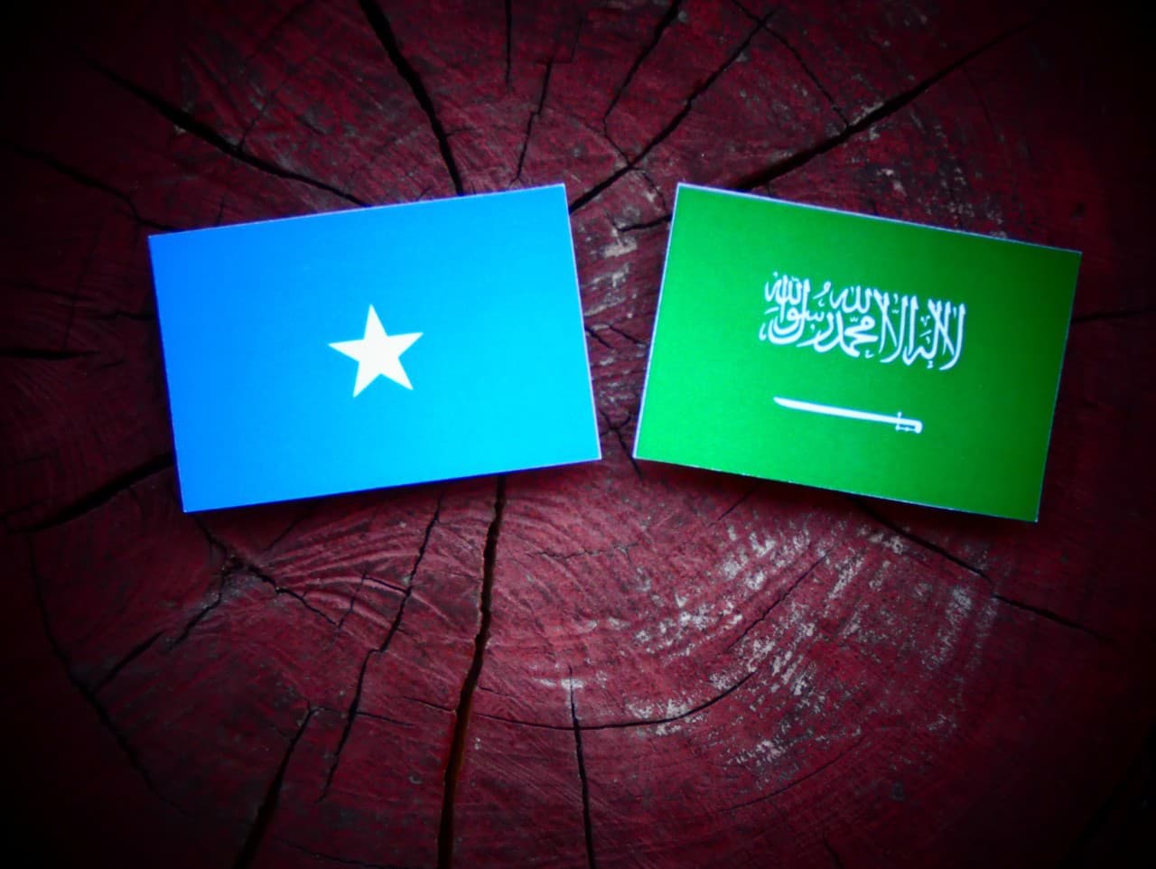 Somálsko a Saudská Arábia podpísali obrannú dohodu