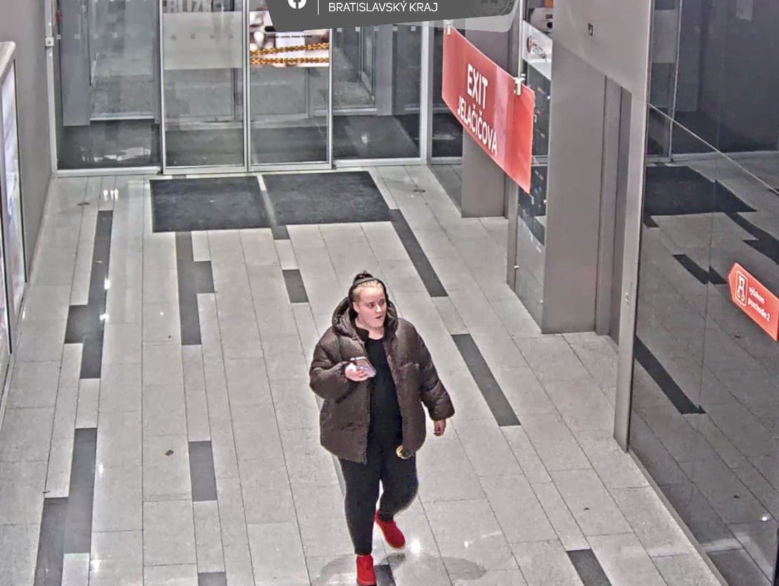 Polícia pátra po páchateľke krádeže olejomaľby v Bratislave