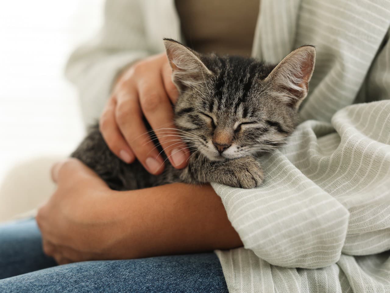 Tragédia a spravodlivosť: Fínsky mechanik zomrel pred súdnym verdiktom