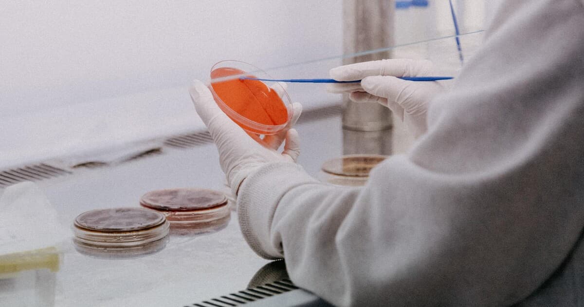 Na lekársku fakultu bez prijímacích skúšok: Nové pravidlá pre študentov