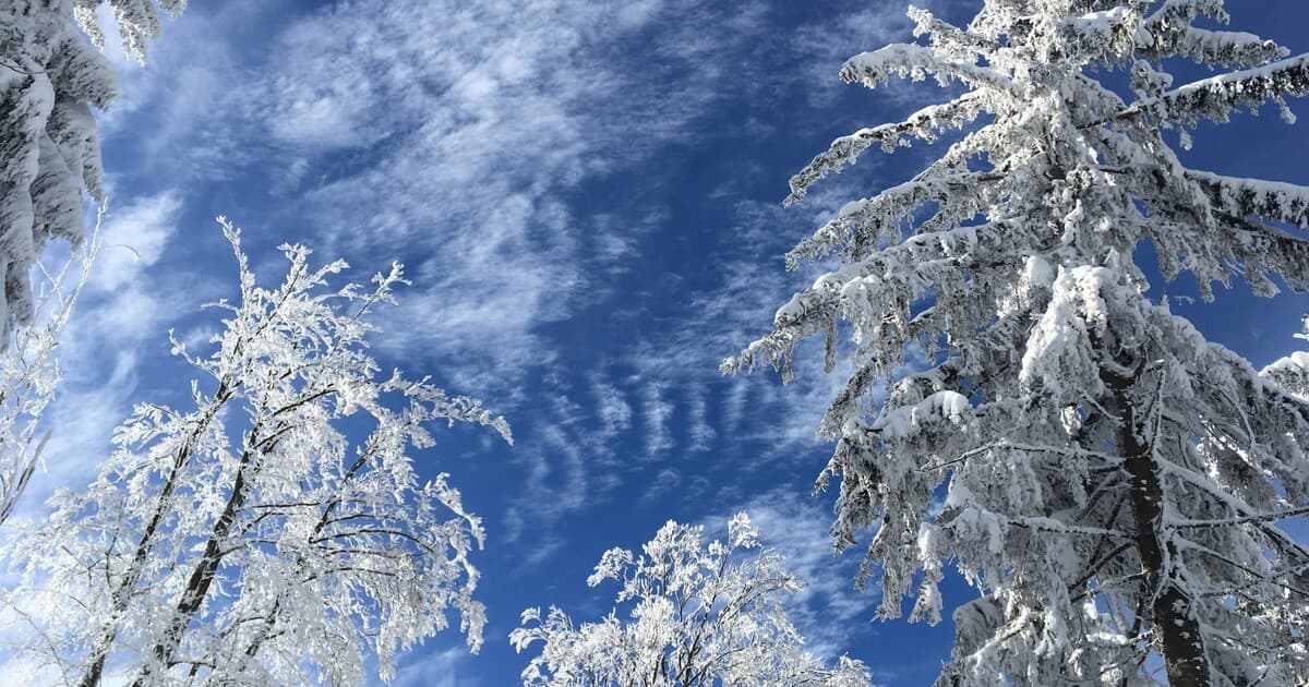 Na Slovensko prichádza ochladenie: Kedy môžeme očakávať sneh?