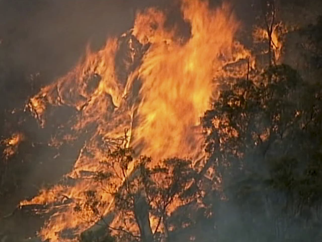 Austrália čelí ničivým lesným požiarom, vyhlásili stav katastrofy