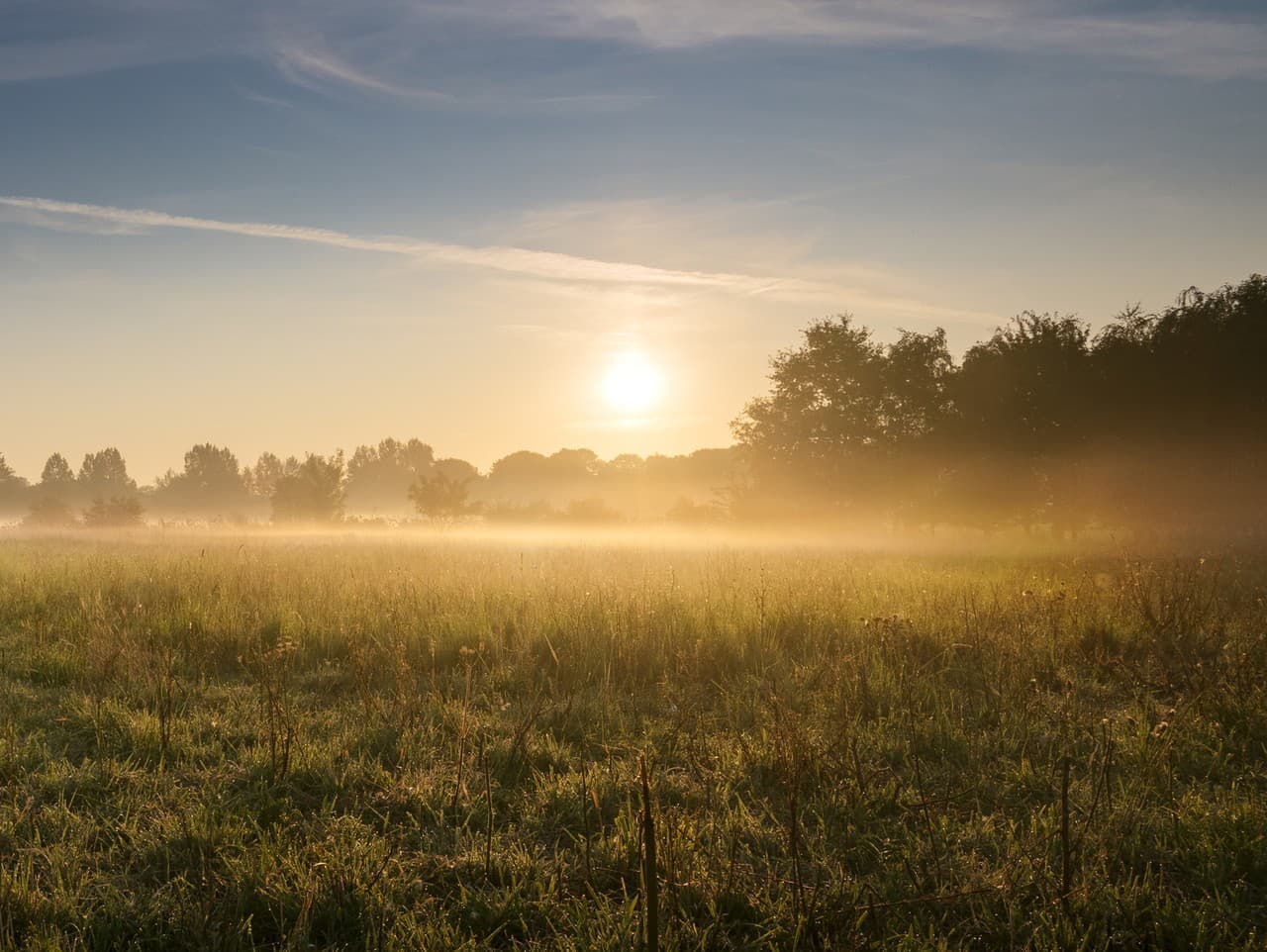 Hmla ohrozuje dopravu v niektorých okresoch Slovenska