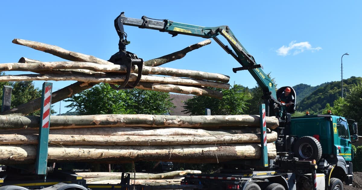 Lesy Slovenskej republiky plánujú prepúšťanie 280 zamestnancov