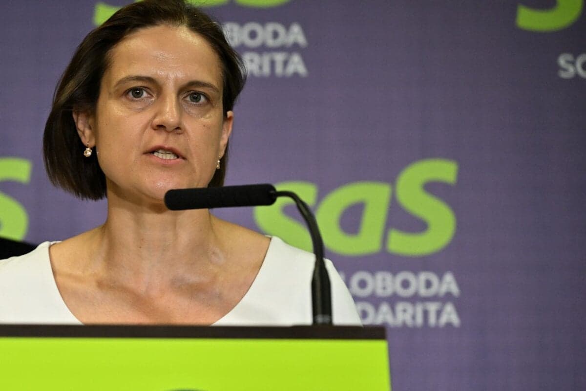 Liberáli navrhujú prevýchovné tresty pre zlodejov