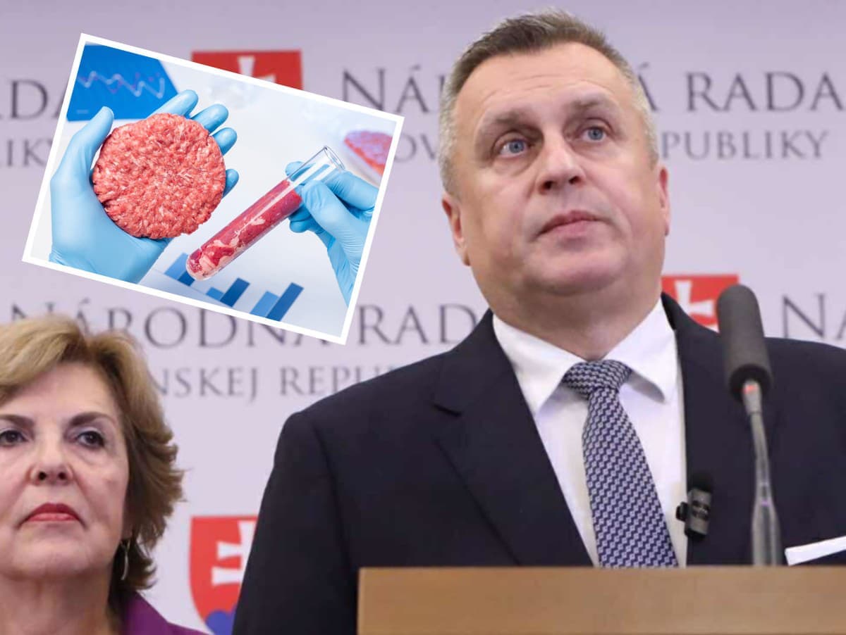 SNS plánuje zákaz syntetického mäsa, inšpiruje sa Maďarskom